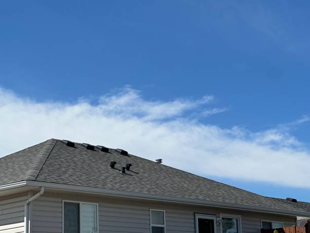 Best Emergency Roof Repair Services  in Hays, NC